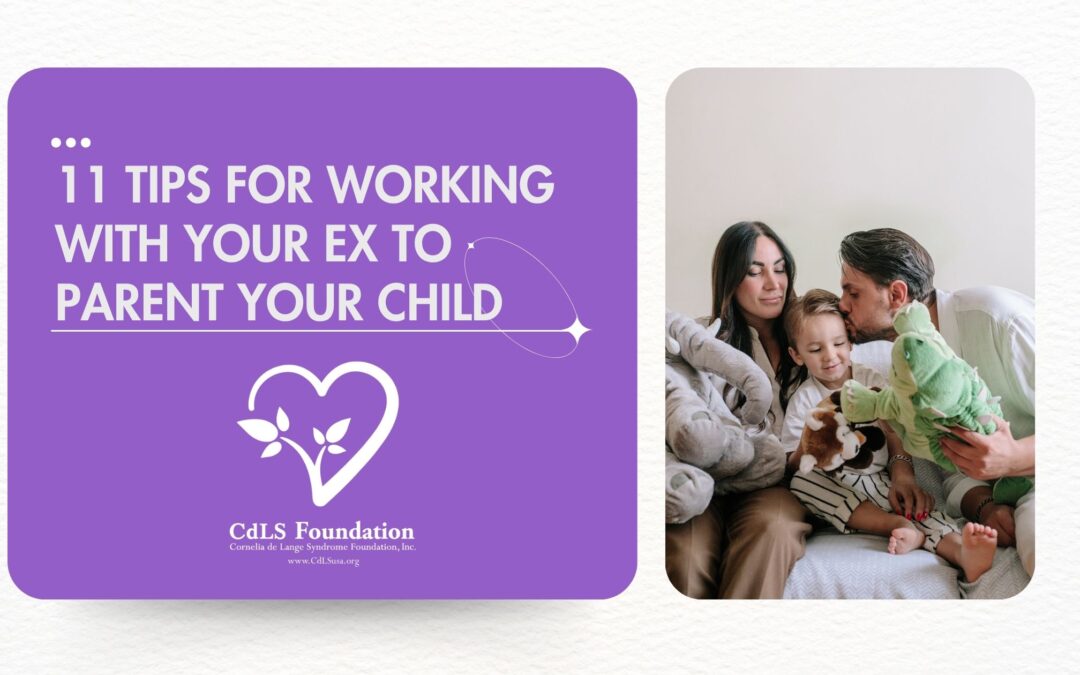 11 tips for working with your ex to parent your child