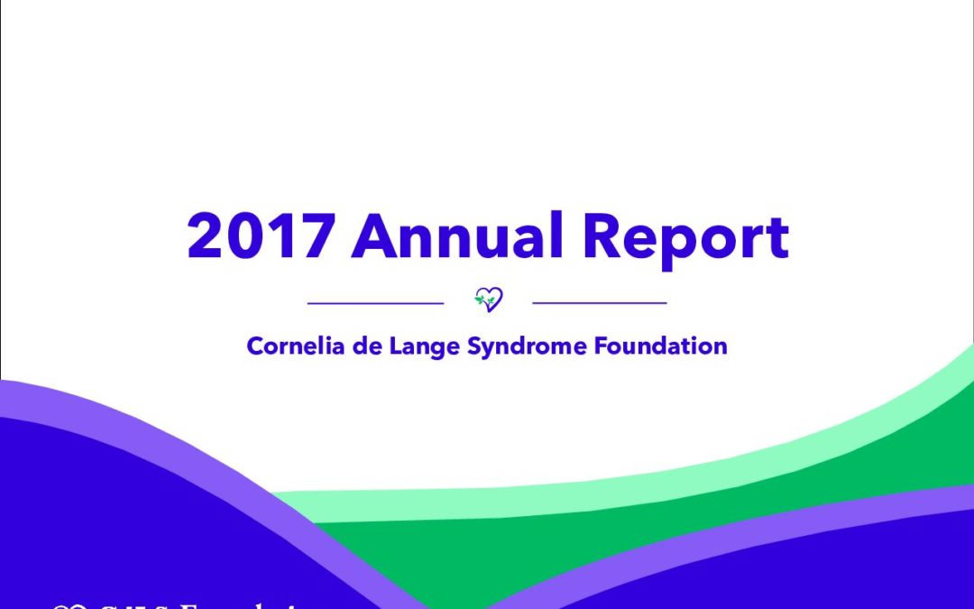 Annual-report-17