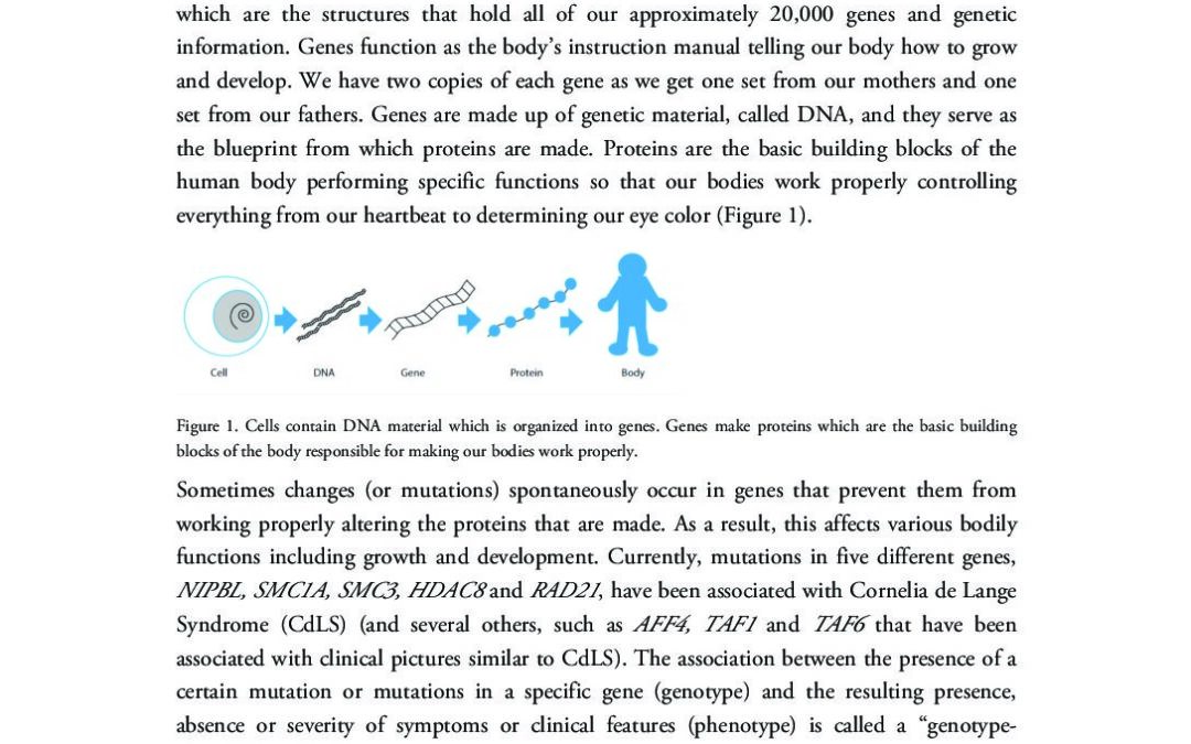 genotype-phenotype-correlations